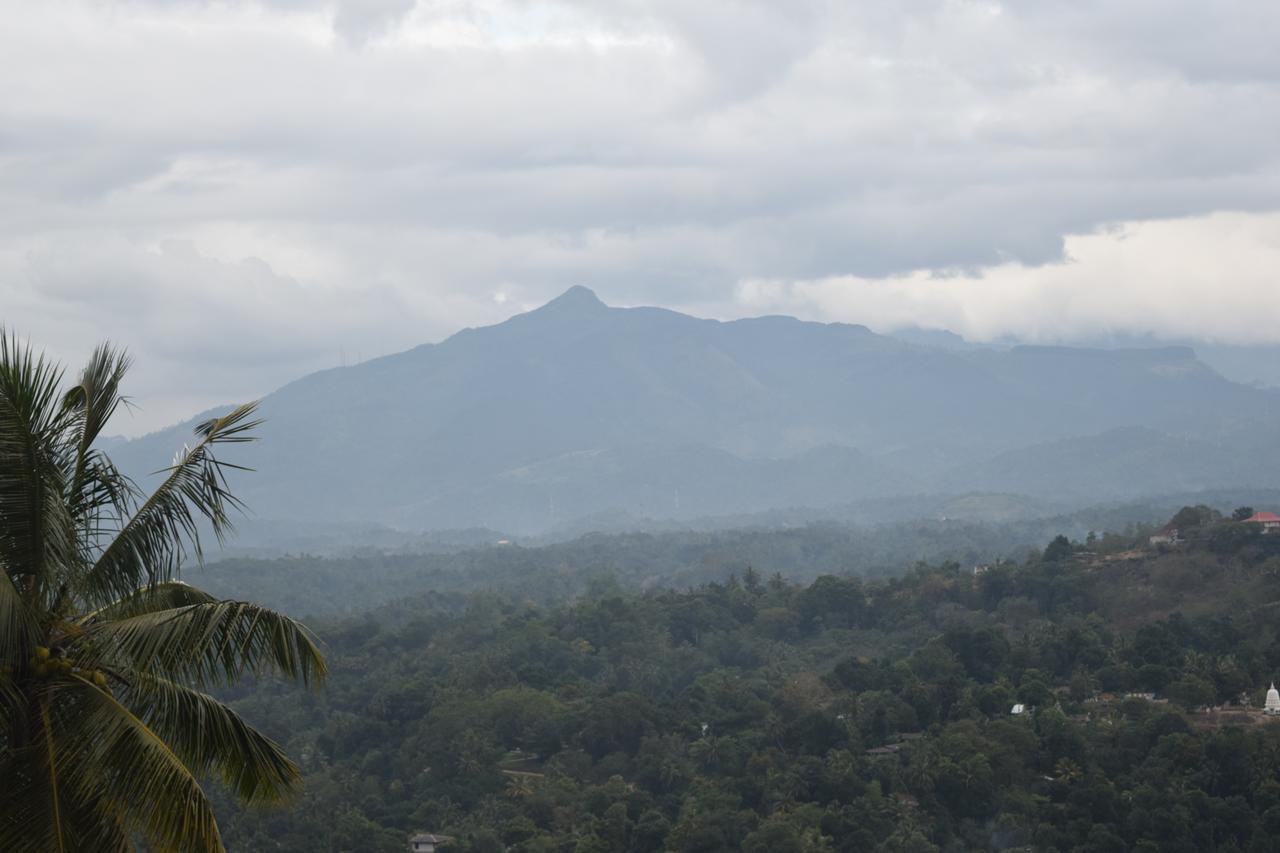 Serenity Hill Oasis Hotel Kandy Ngoại thất bức ảnh